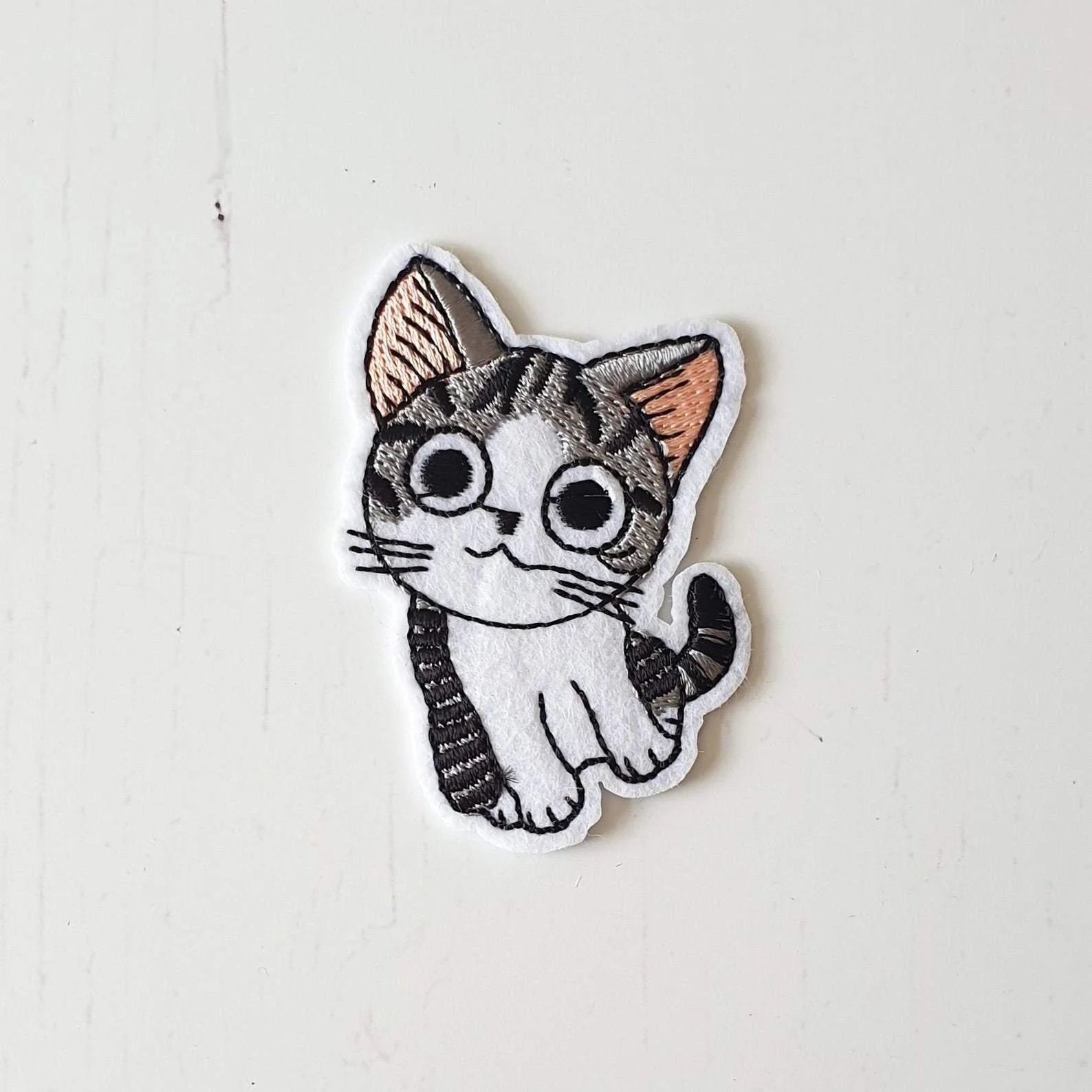 Black and White Cat