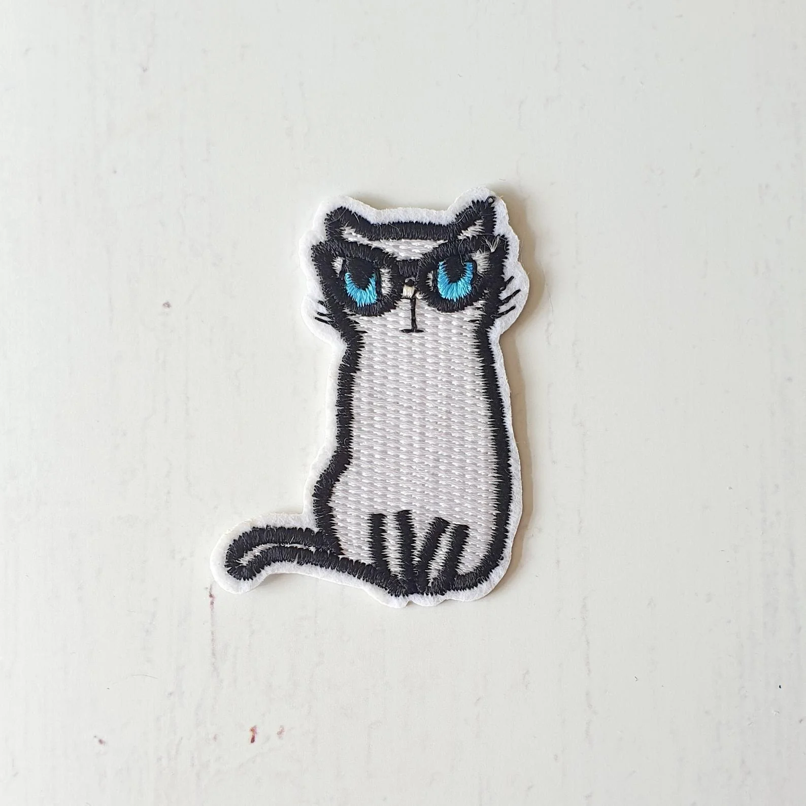 White Cat in Glasses