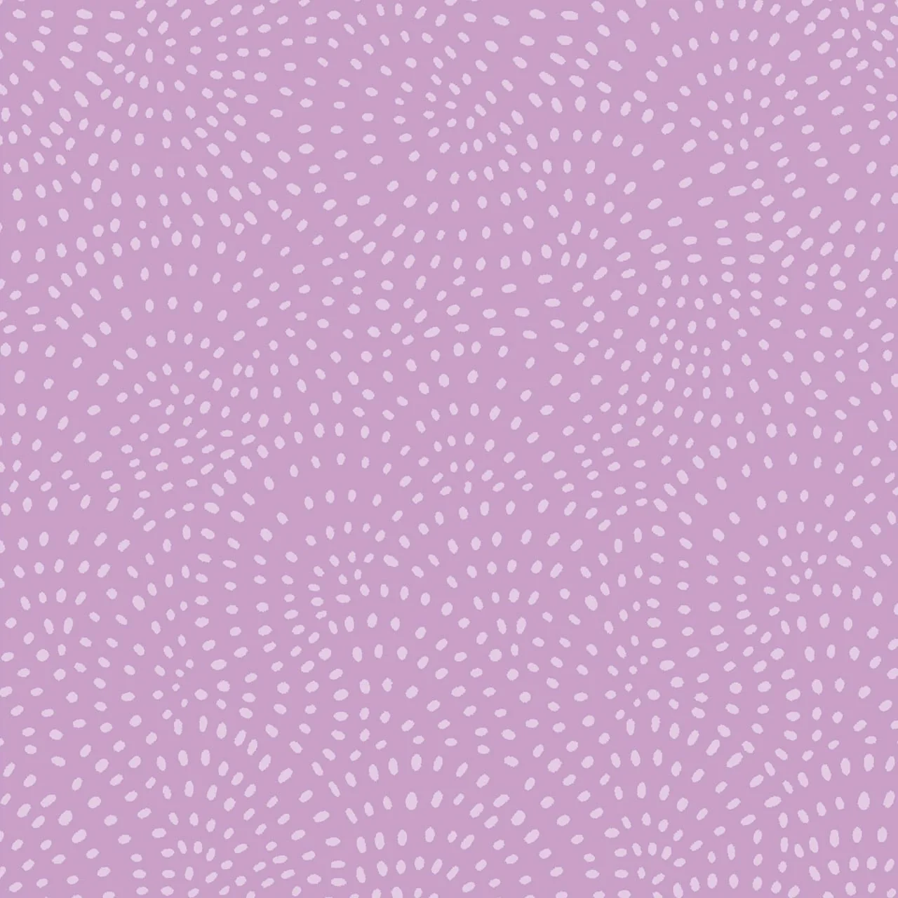Lilac - Twist - Dashwood Studio