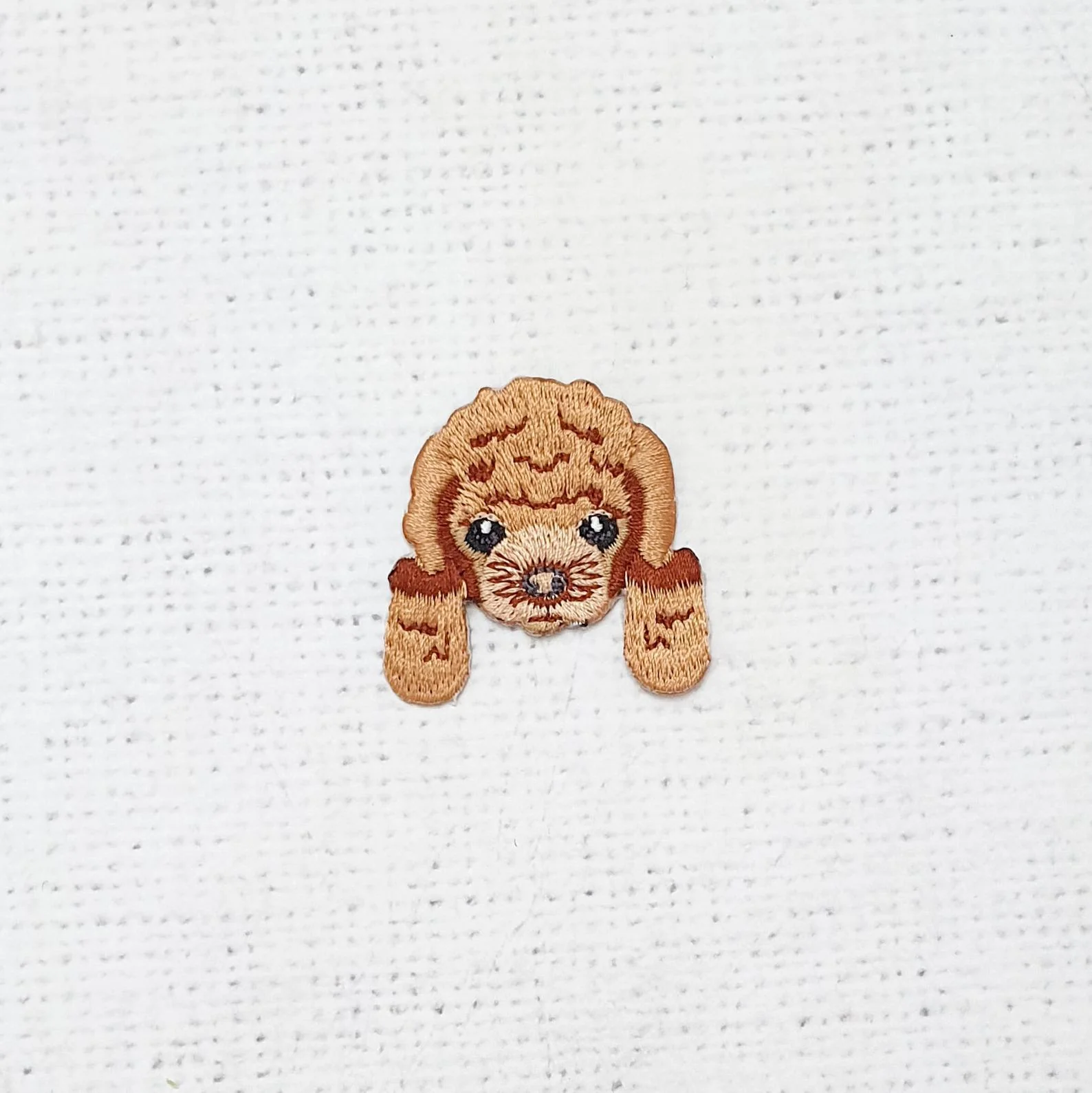 Poodle Dog
