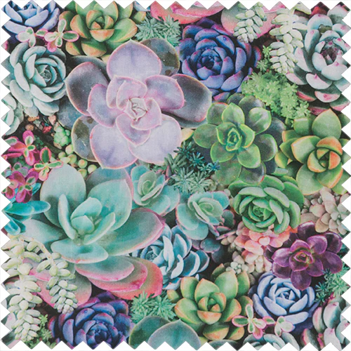 Succulent Pincushion - Image 2