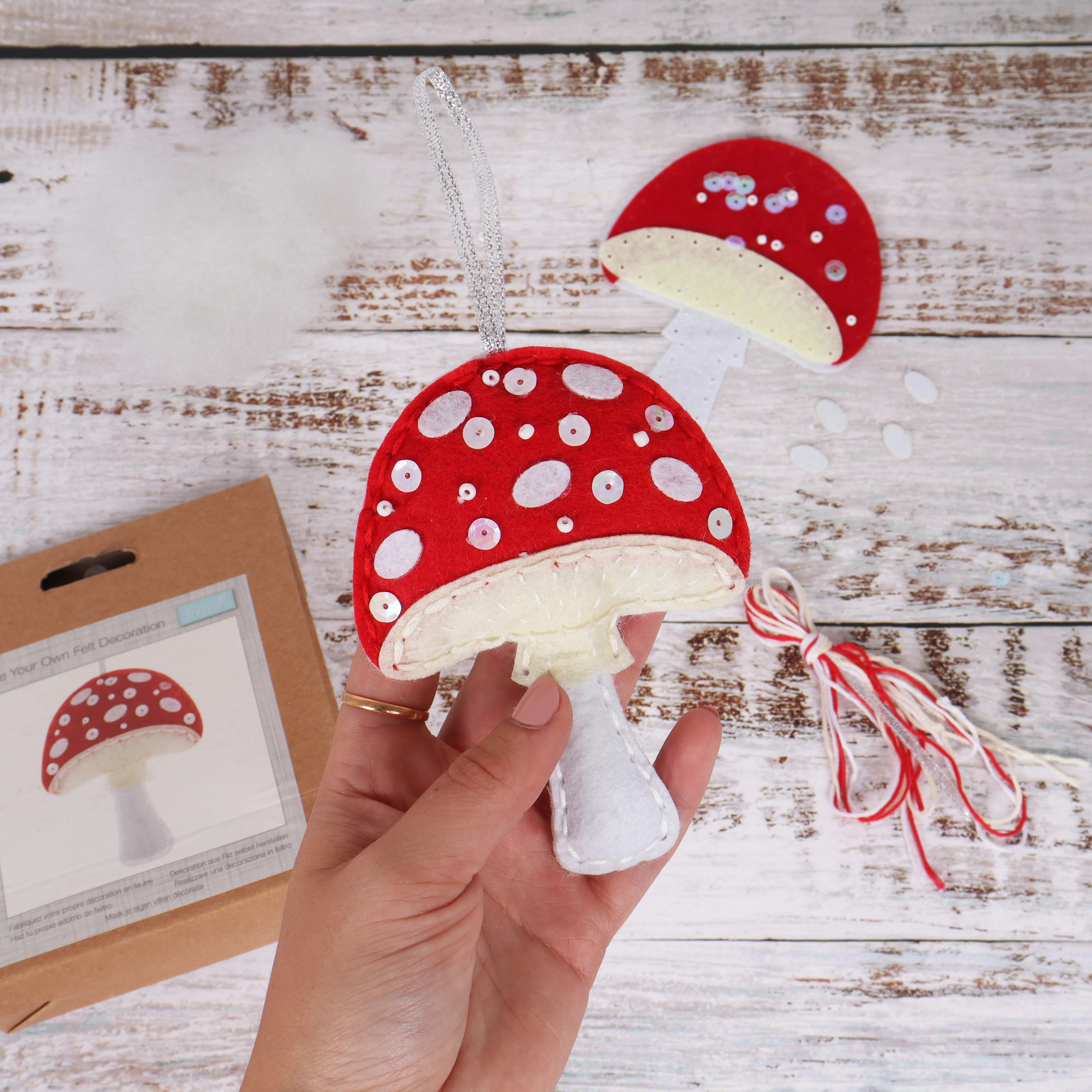 Toadstool - Felt Decoration Kit